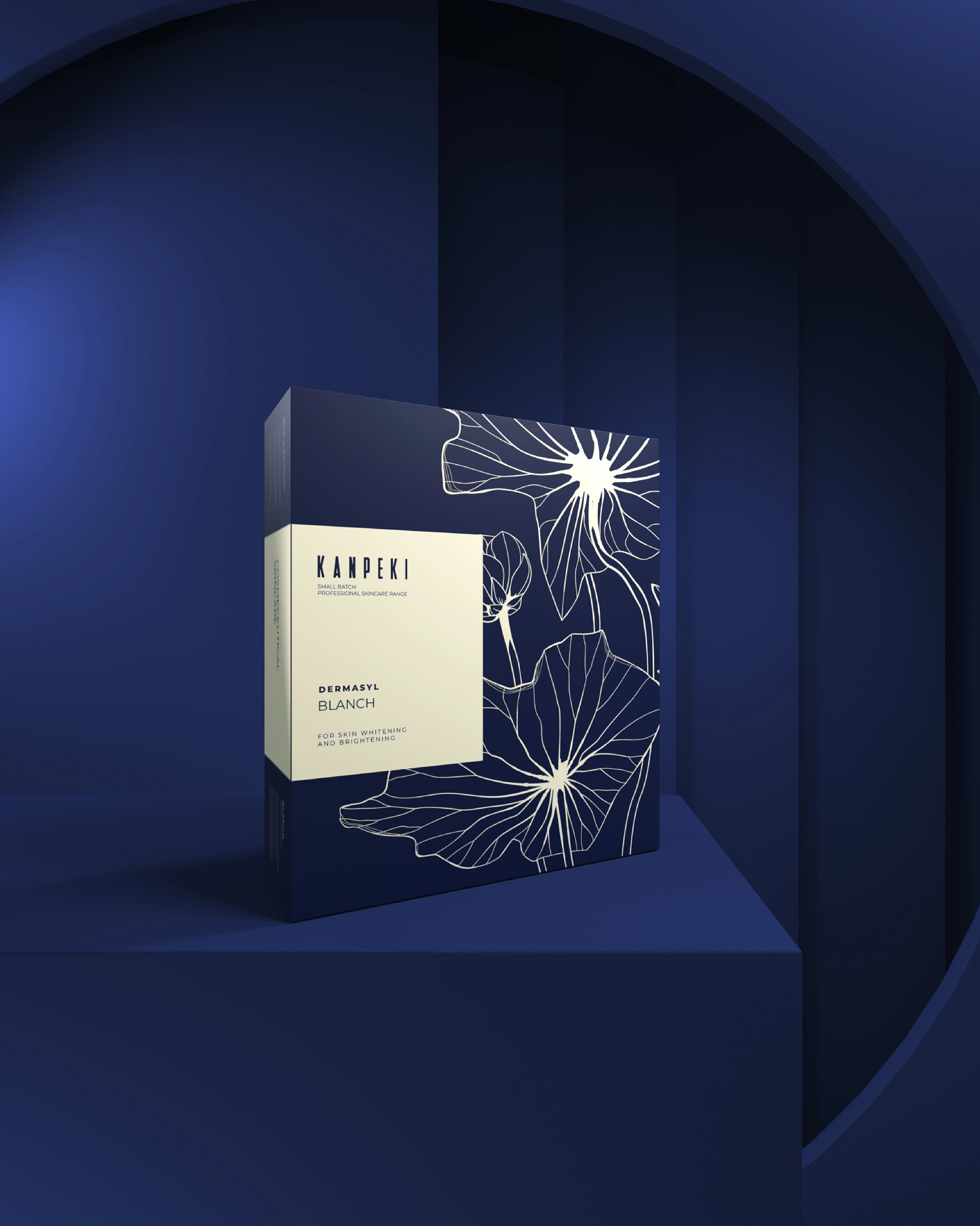 Dermasyl Blanch | 10 Step Facial Kit