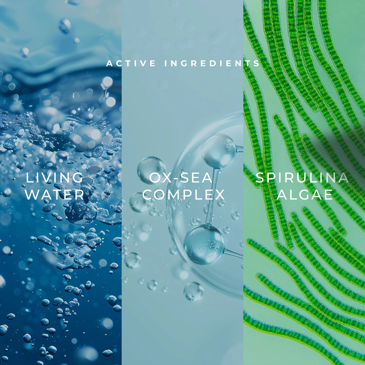 Bridal Bright Oxygen & Living Water 10 Step