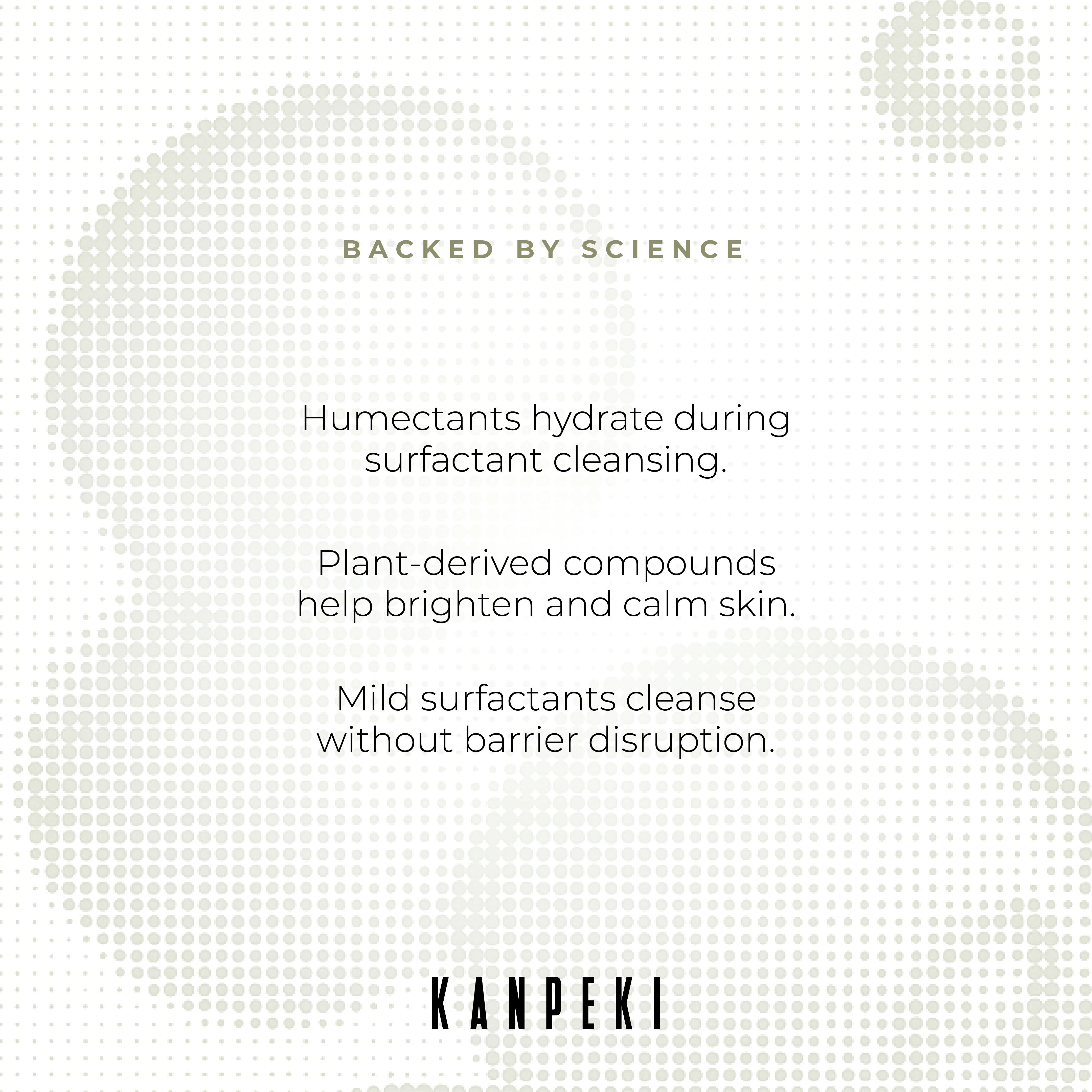 Balancing Cleanser Facewash