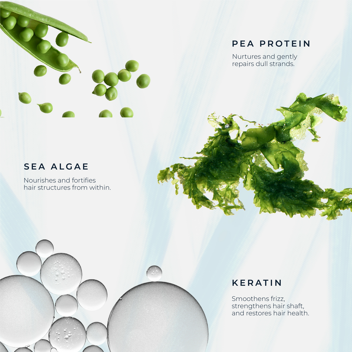 Structure Repair Vegetal Peptides Concentrate